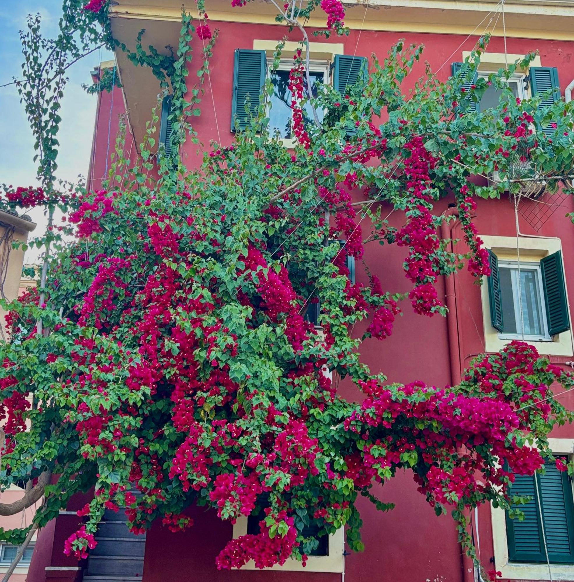 Corfu Port Home Bagian luar foto